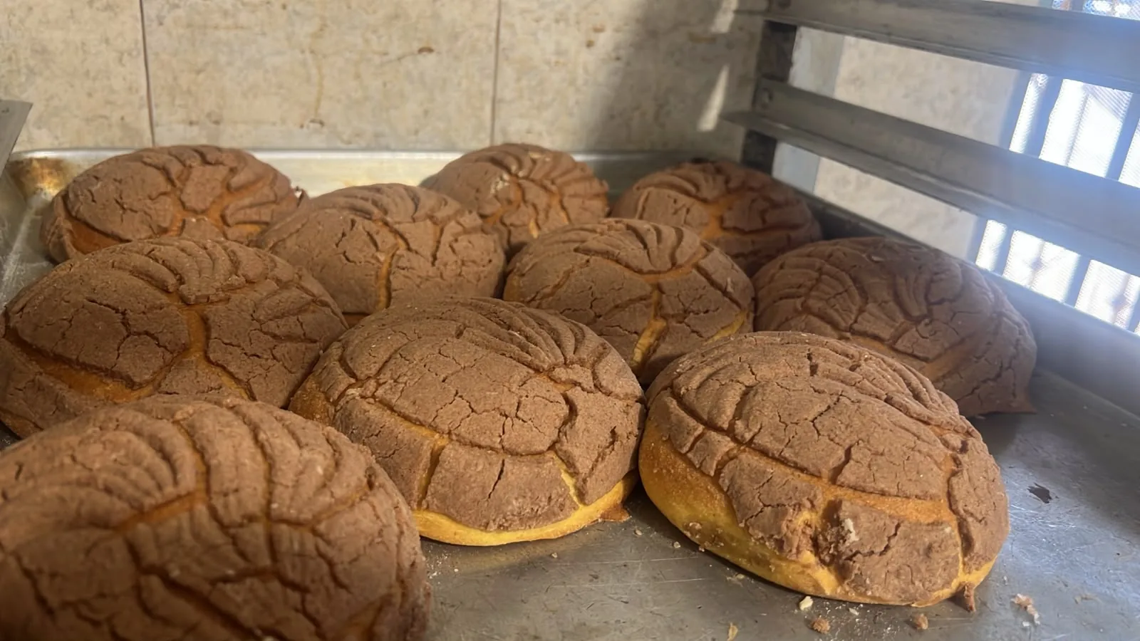 Concha de chocolate